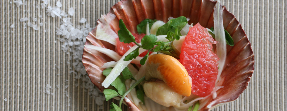 Oyster