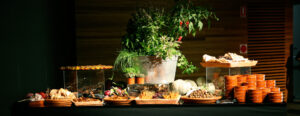 Forte's Feast | Forte Catering